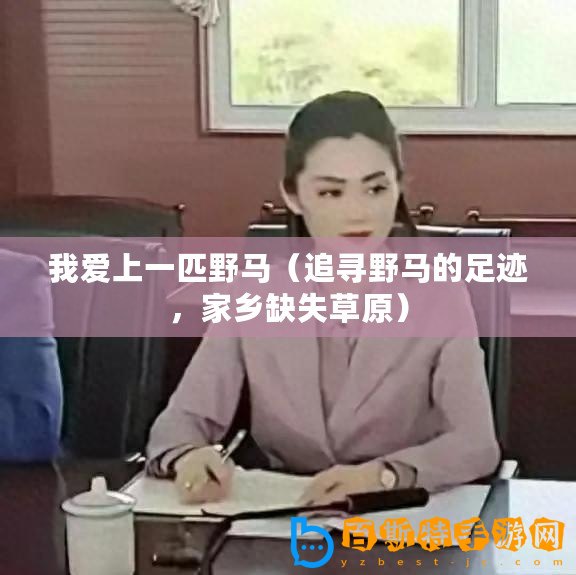 我愛上一匹野馬（追尋野馬的足跡，家鄉(xiāng)缺失草原）