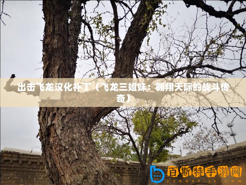 出擊飛龍漢化補(bǔ)丁（飛龍三姐妹：翱翔天際的戰(zhàn)斗傳奇）