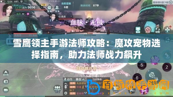 雪鷹領主手游法師攻略：魔攻寵物選擇指南，助力法師戰力飆升