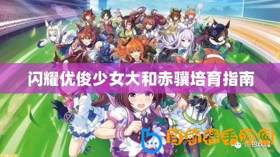 閃耀優俊少女大和赤驥培育指南