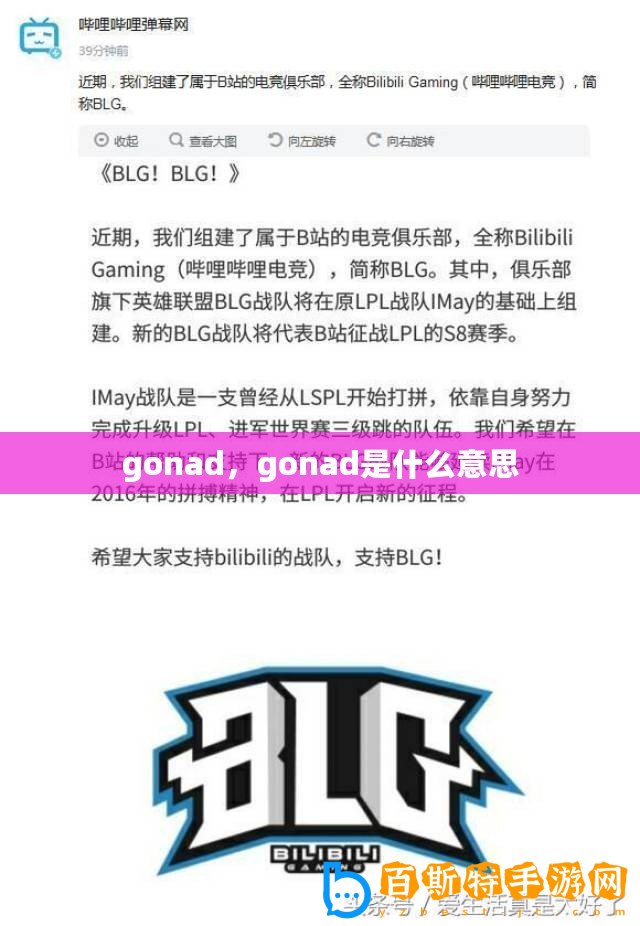 gonad，gonad是什么意思