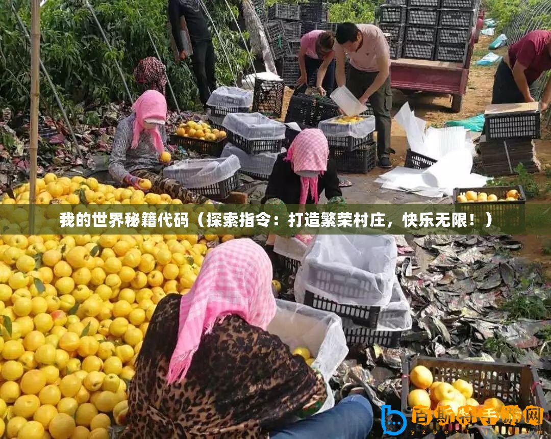 我的世界秘籍代碼（探索指令：打造繁榮村莊，快樂無限！）
