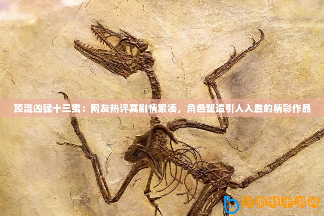 頂流兇猛十三夷：網友熱評其劇情緊湊，角色塑造引人入勝的精彩作品