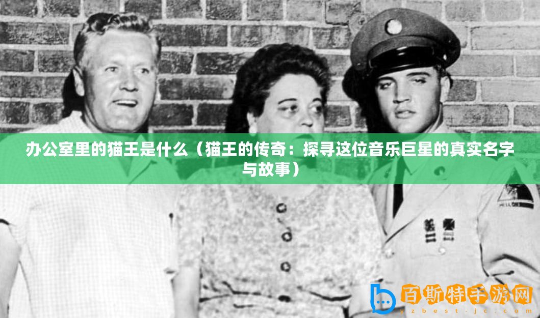 辦公室里的貓王是什么（貓王的傳奇：探尋這位音樂巨星的真實(shí)名字與故事）