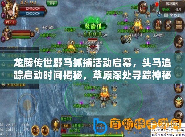 龍騰傳世野馬抓捕活動(dòng)啟幕，頭馬追蹤啟動(dòng)時(shí)間揭秘，草原深處尋蹤神秘中心地
