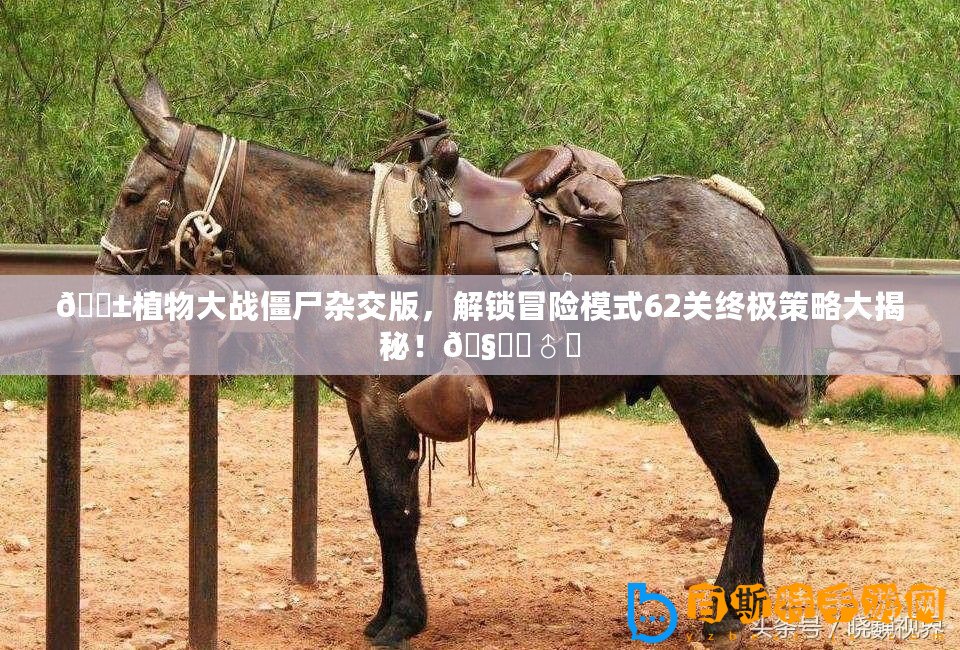 ??植物大戰僵尸雜交版，解鎖冒險模式62關終極策略大揭秘！???♂?