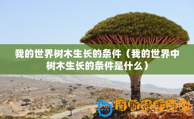 我的世界樹木生長(zhǎng)的條件（我的世界中樹木生長(zhǎng)的條件是什么）