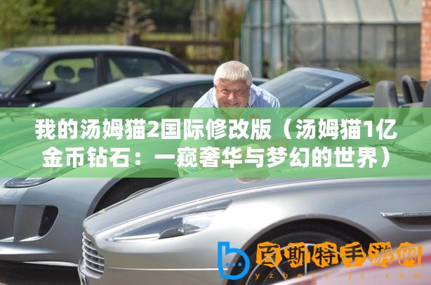 我的湯姆貓2國(guó)際修改版（湯姆貓1億金幣鉆石：一窺奢華與夢(mèng)幻的世界）