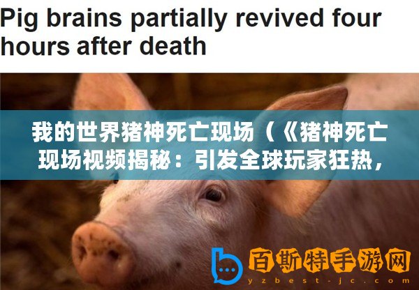 我的世界豬神死亡現場（《豬神死亡現場視頻揭秘：引發全球玩家狂熱，震撼細節曝光！》）