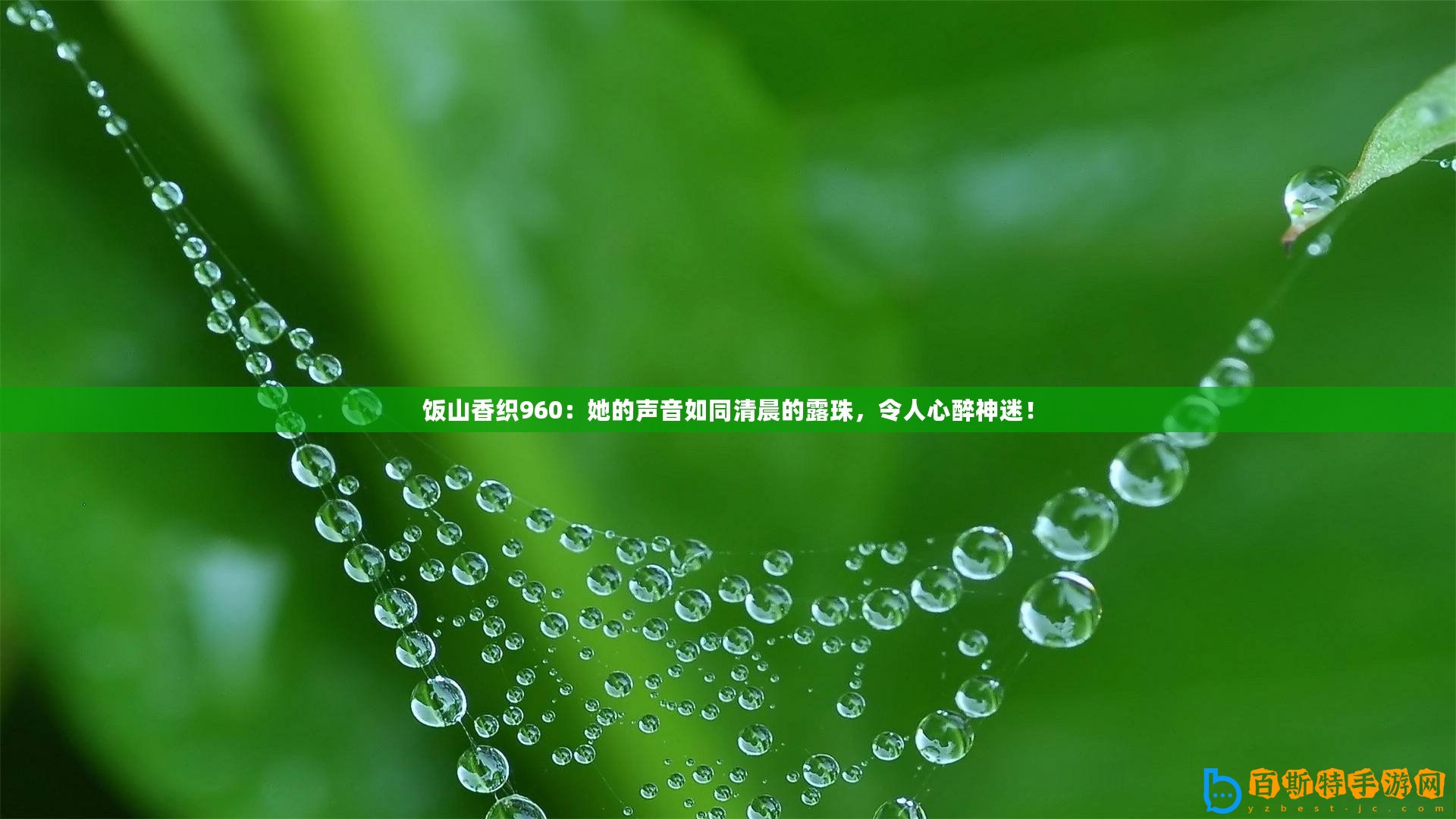 飯山香織960：她的聲音如同清晨的露珠，令人心醉神迷！