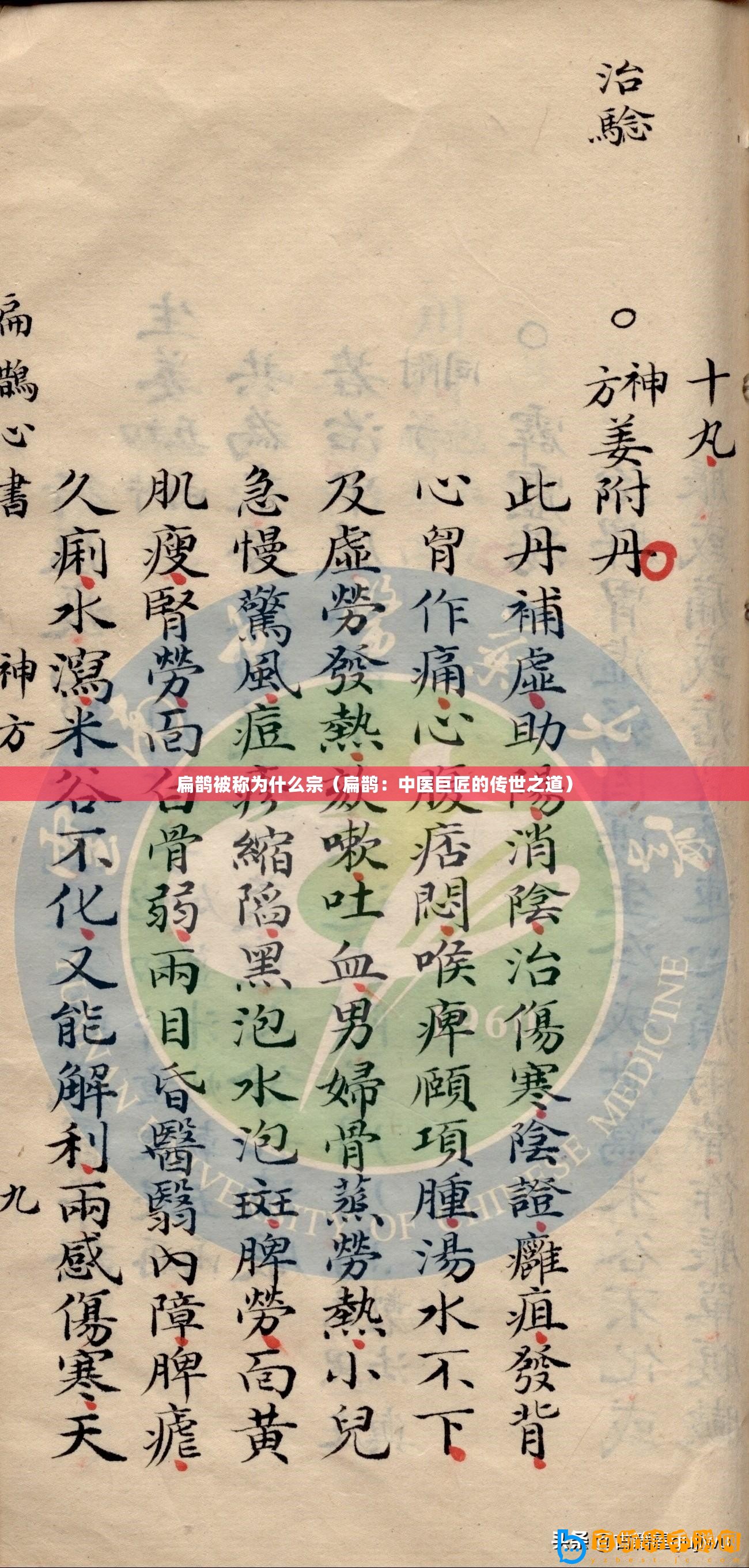 扁鵲被稱為什么宗（扁鵲：中醫巨匠的傳世之道）