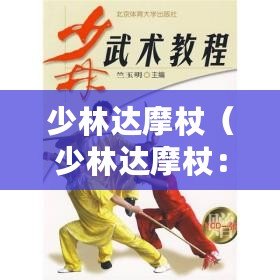 少林達(dá)摩杖(少林達(dá)摩杖:傳統(tǒng)武術(shù)中的力與柔并蓄,攻防兼?zhèn)涞木瑁。? title=