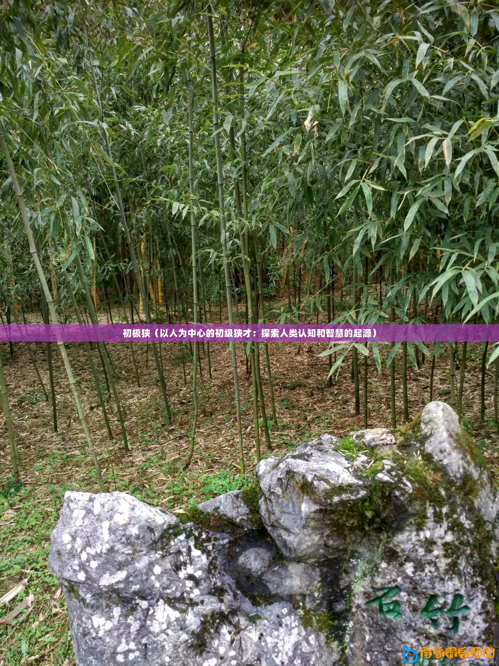 初極狹（以人為中心的初級狹才：探索人類認知和智慧的起源）
