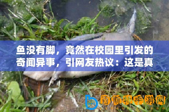 魚(yú)沒(méi)有腳，竟然在校園里引發(fā)的奇聞異事，引網(wǎng)友熱議：這是真的嗎？
