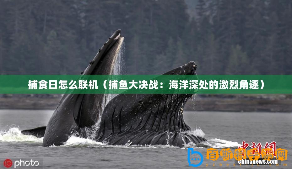 捕食日怎么聯(lián)機(jī)（捕魚(yú)大決戰(zhàn)：海洋深處的激烈角逐）
