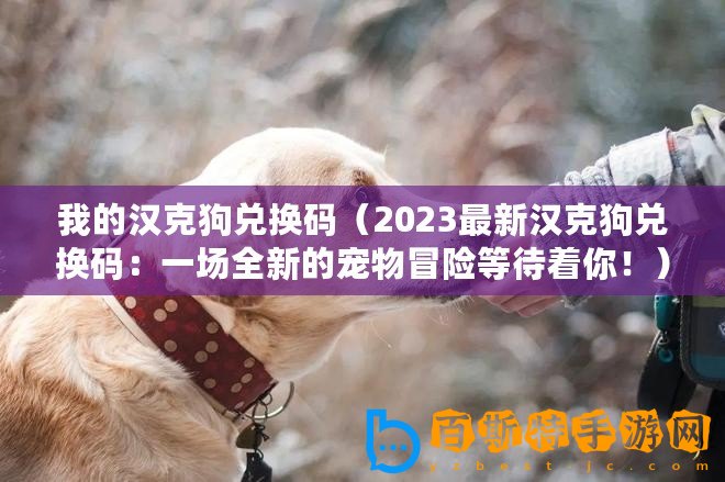 我的漢克狗兌換碼（2023最新漢克狗兌換碼：一場(chǎng)全新的寵物冒險(xiǎn)等待著你！）