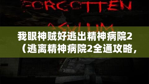 我眼神賊好逃出精神病院2（逃離精神病院2全通攻略，解鎖所有關(guān)卡的終極指南！）