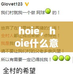 hoie，hoie什么意思