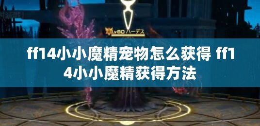 ff14小小魔精寵物怎么獲得 ff14小小魔精獲得方法