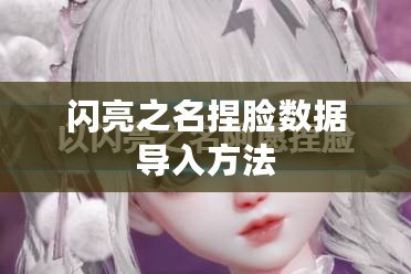 閃亮之名捏臉數(shù)據(jù)導(dǎo)入方法