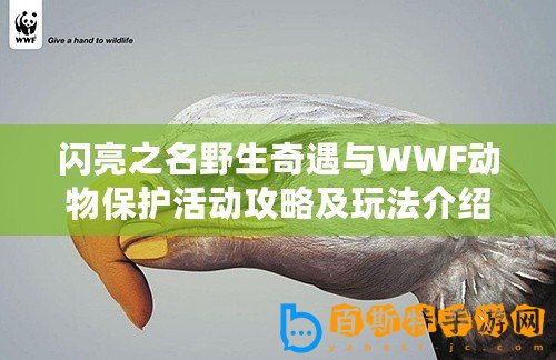 閃亮之名野生奇遇與WWF動(dòng)物保護(hù)活動(dòng)攻略及玩法介紹