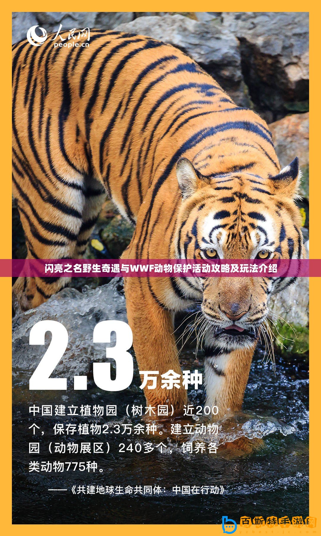 閃亮之名野生奇遇與WWF動(dòng)物保護(hù)活動(dòng)攻略及玩法介紹