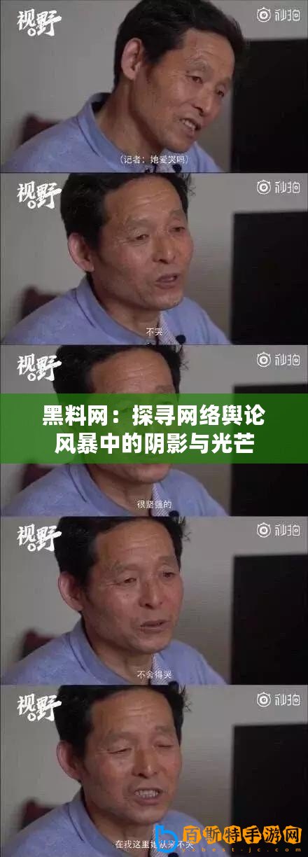 黑料網(wǎng)：探尋網(wǎng)絡輿論風暴中的陰影與光芒