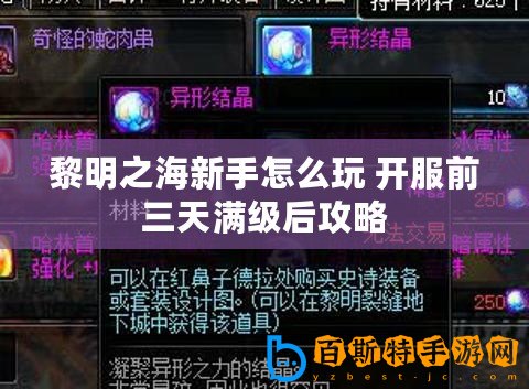 黎明之海新手怎么玩 開(kāi)服前三天滿(mǎn)級(jí)后攻略