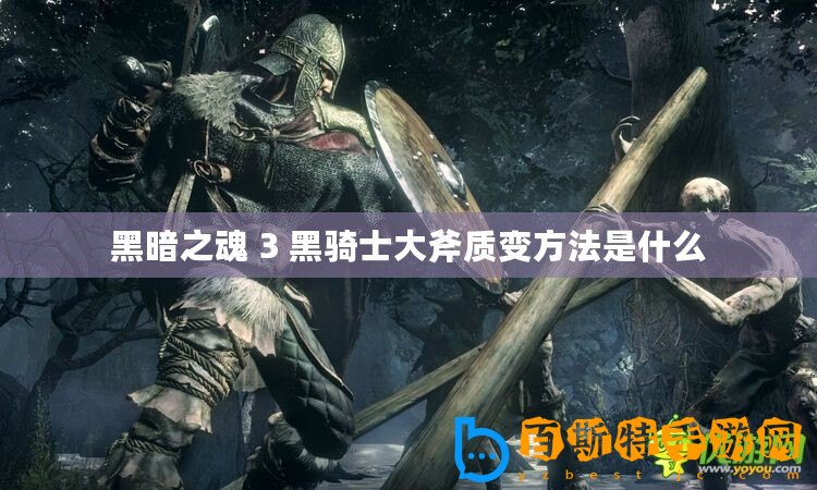 黑暗之魂 3 黑騎士大斧質(zhì)變方法是什么
