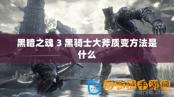 黑暗之魂 3 黑騎士大斧質(zhì)變方法是什么