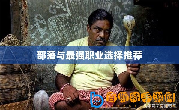 部落與最強職業(yè)選擇推薦