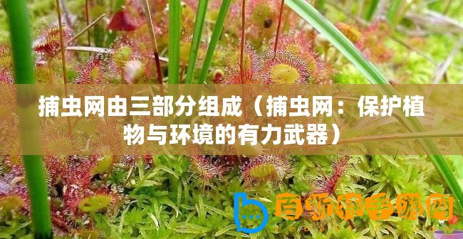 捕蟲網(wǎng)由三部分組成（捕蟲網(wǎng)：保護(hù)植物與環(huán)境的有力武器）