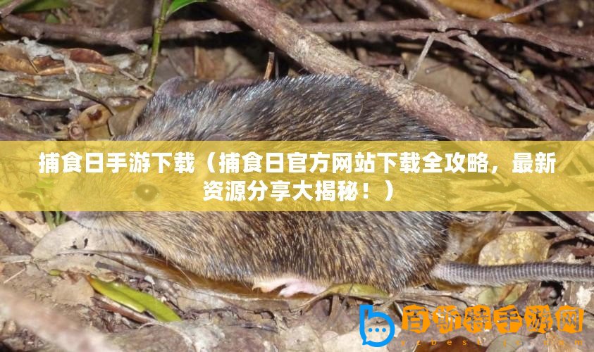 捕食日手游下載（捕食日官方網站下載全攻略，最新資源分享大揭秘?。?/>			</a>
		</figure>
		<div   id=