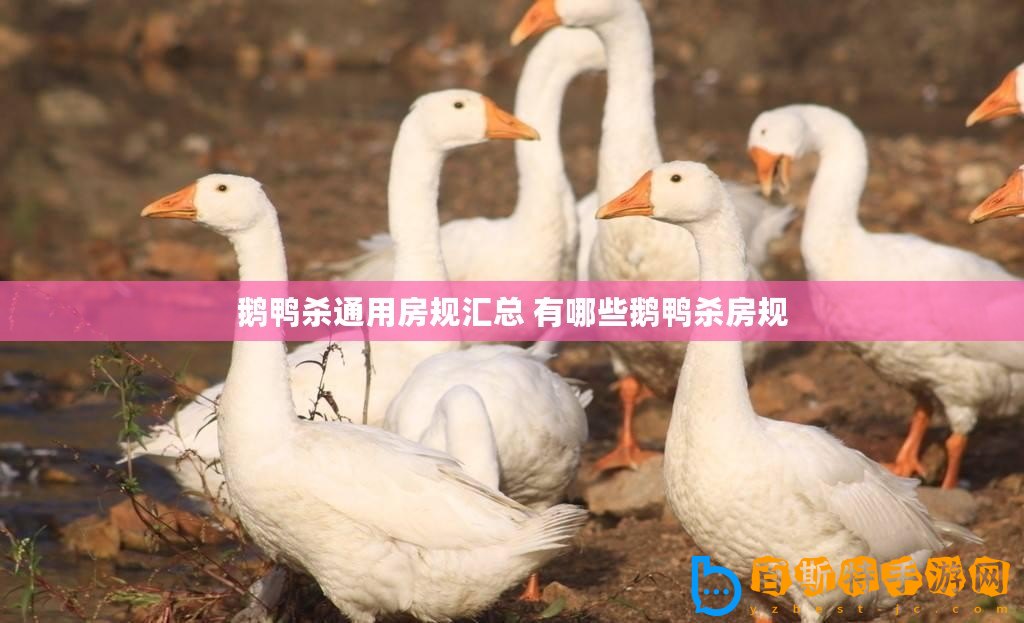 鵝鴨殺通用房規匯總 有哪些鵝鴨殺房規