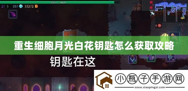 重生細胞月光白花鑰匙怎么獲取攻略
