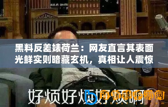 黑料反差婊荷蘭：網友直言其表面光鮮實則暗藏玄機，真相讓人震驚！