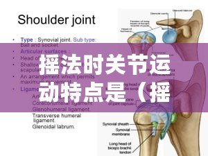 搖法時關(guān)節(jié)運動特點是（搖法時關(guān)節(jié)運動特點：以中心為軸，關(guān)節(jié)運動的搖法及特點）