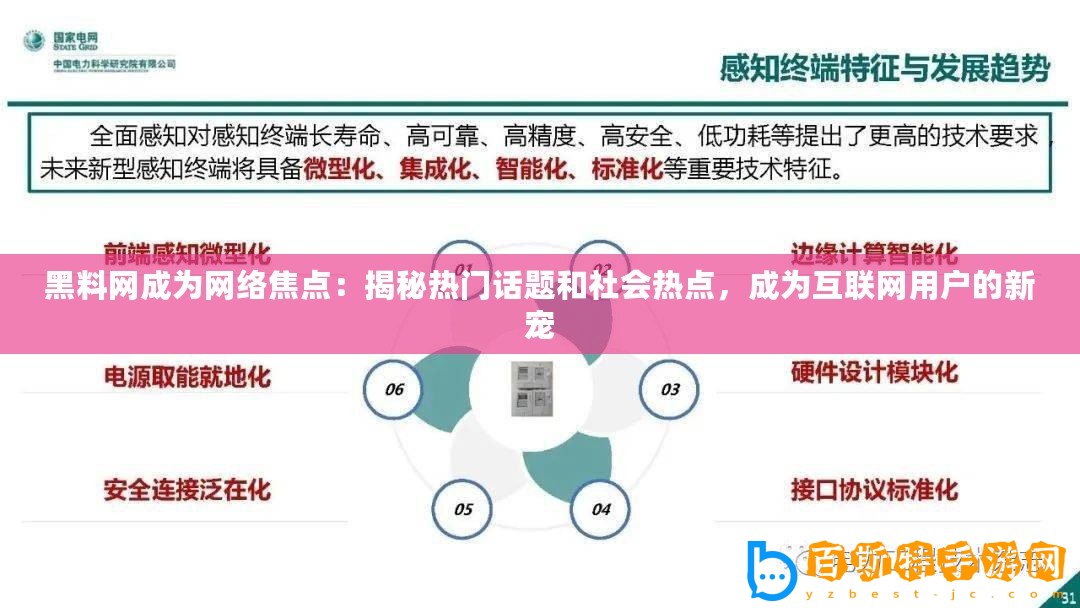 黑料網(wǎng)成為網(wǎng)絡(luò)焦點(diǎn)：揭秘?zé)衢T話題和社會(huì)熱點(diǎn)，成為互聯(lián)網(wǎng)用戶的新寵