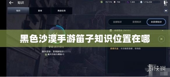 黑色沙漠手游笛子知識(shí)位置在哪