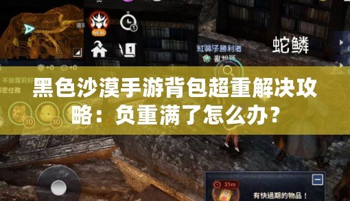 黑色沙漠手游背包超重解決攻略：負重滿了怎么辦？