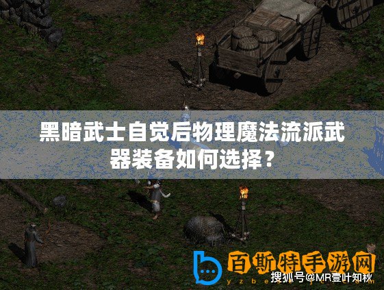 黑暗武士自覺(jué)后物理魔法流派武器裝備如何選擇？